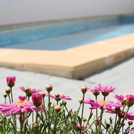 Naomi - Large Garden And Terrace * Albufeira